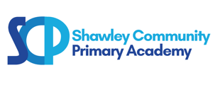 Shawley Community Primary Academy (1)