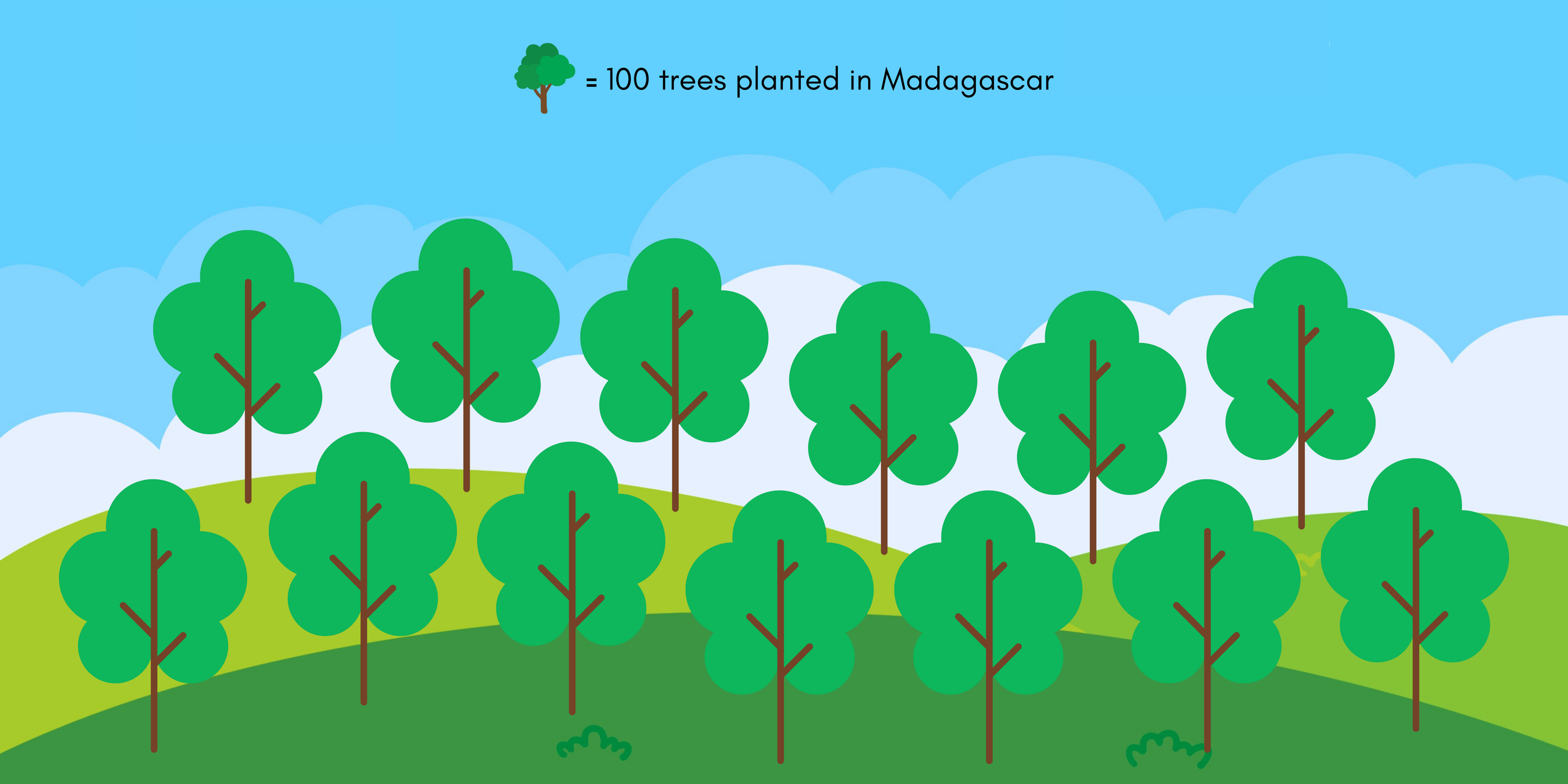 100 trees planted in madagascar 2