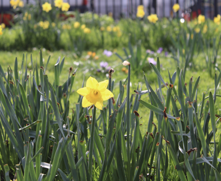 Screenshot 2023 05 23 at 14.30.40