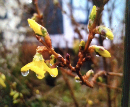 Screenshot 2023 05 23 at 14.30.52